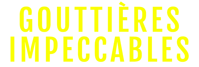 Gouttières Impeccables photo 1